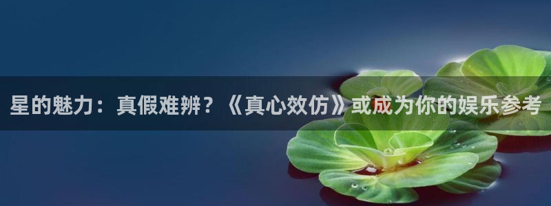 酷客影院免费网：星的魅力：真假难辨？《真心效仿》或成为你的娱乐参考