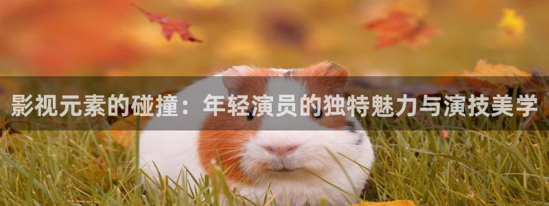 酷客免费影院在线播放：影视元素的碰撞：年轻演员的独特魅力与演技美学