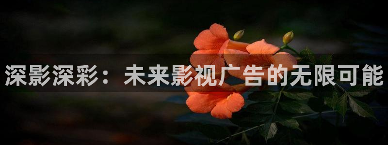 酷客影院2025：深影深彩：未来影视广告的无限可能