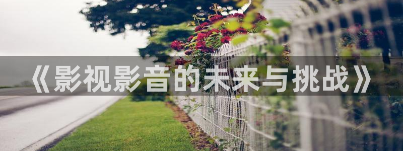酷客影视在线观看免费高清电视剧：《影视影音的未来与挑战》