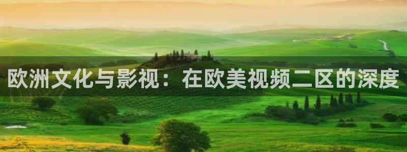 奇优影院在线观看酷客电影：欧洲文化与影视：在欧美视频二区的深度