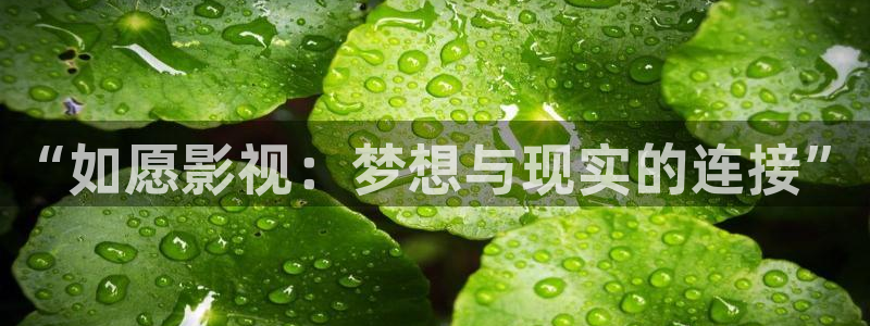 酷客影院免费网：“如愿影视：梦想与现实的连接”